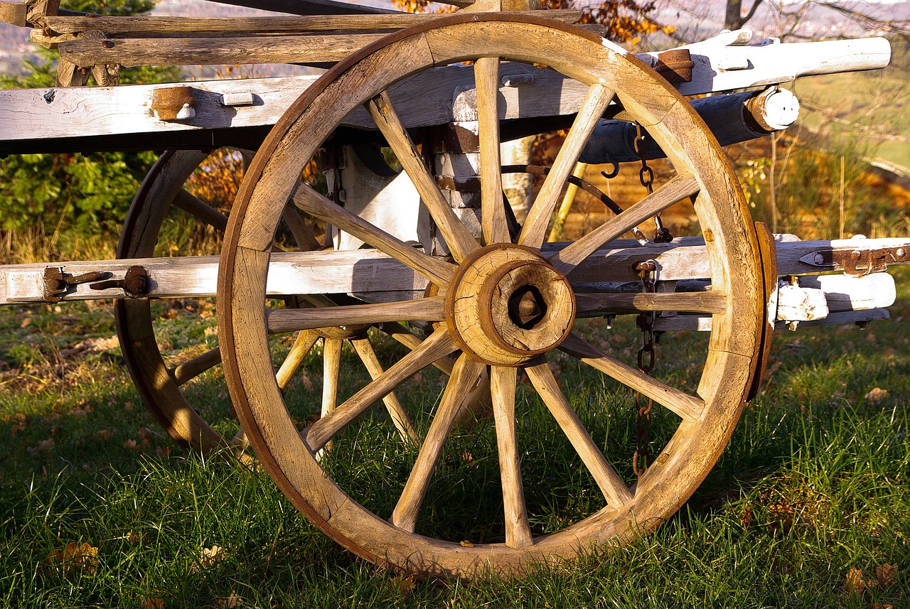 Beginner's guide to mastering the potter's wheel